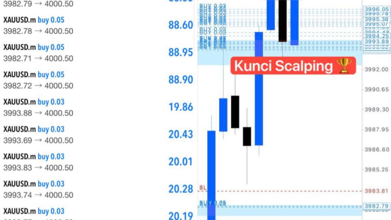 Den Scalping M5