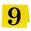 9️⃣