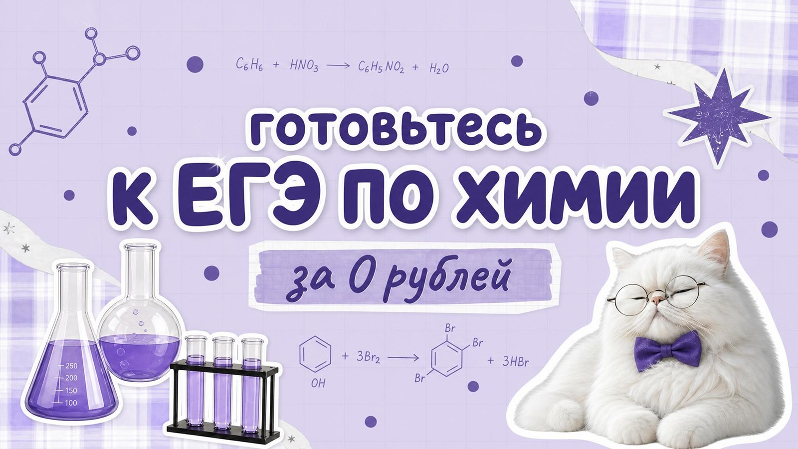 биология и котики / ЕГЭ ОГЭ Стадикэтс