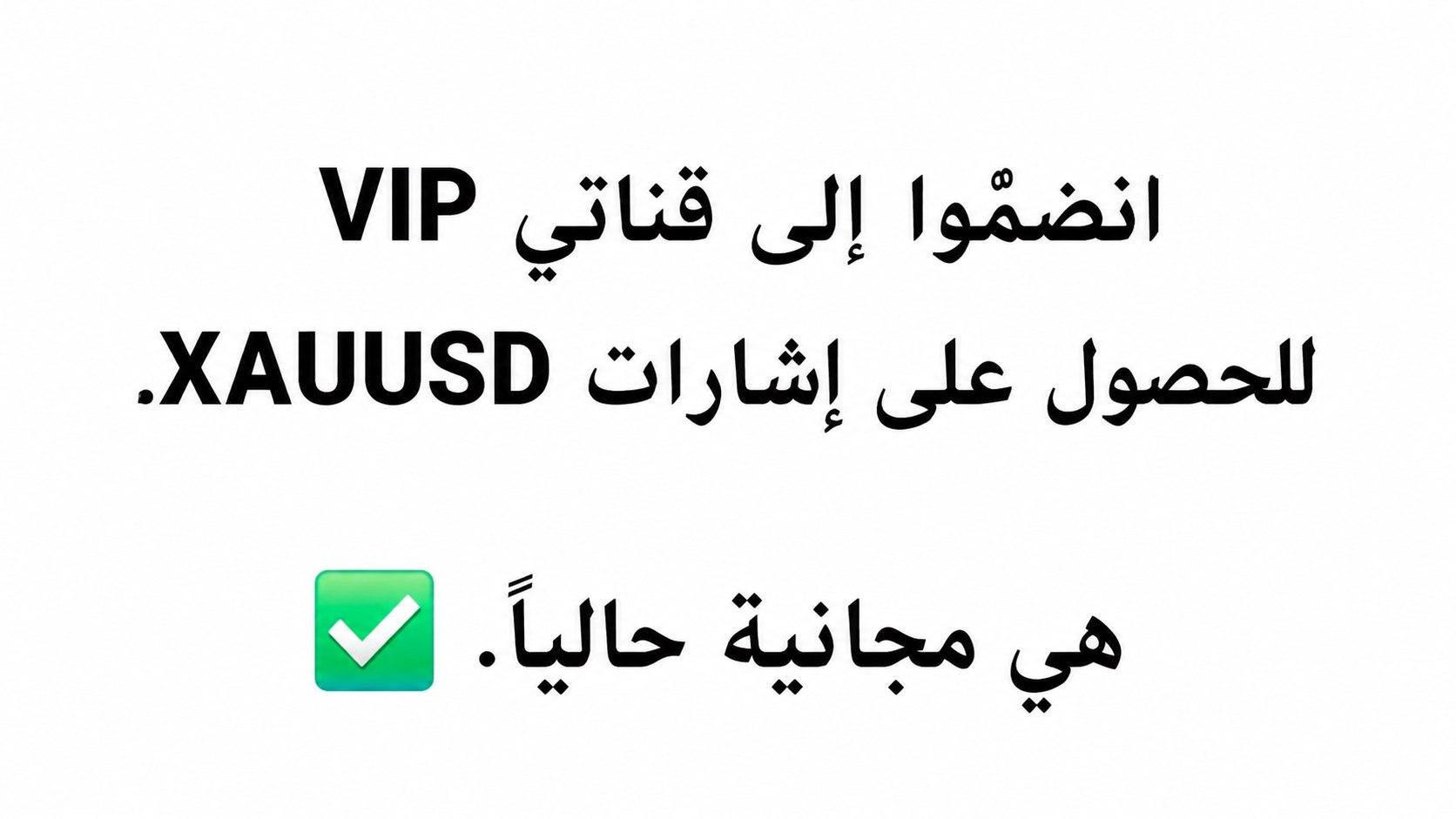 FX Momentum