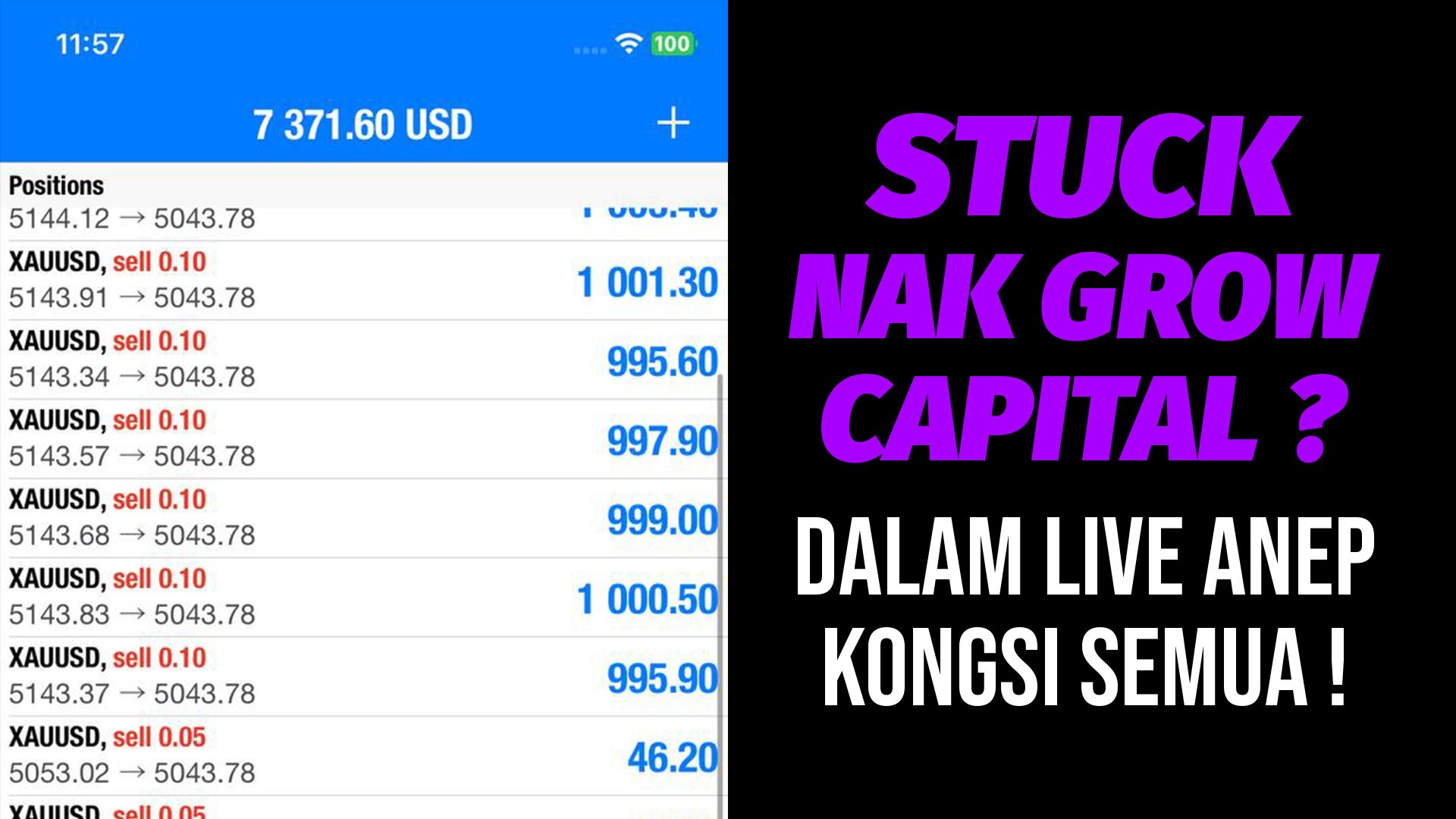 KILLERPIPS SCALPING ANEP