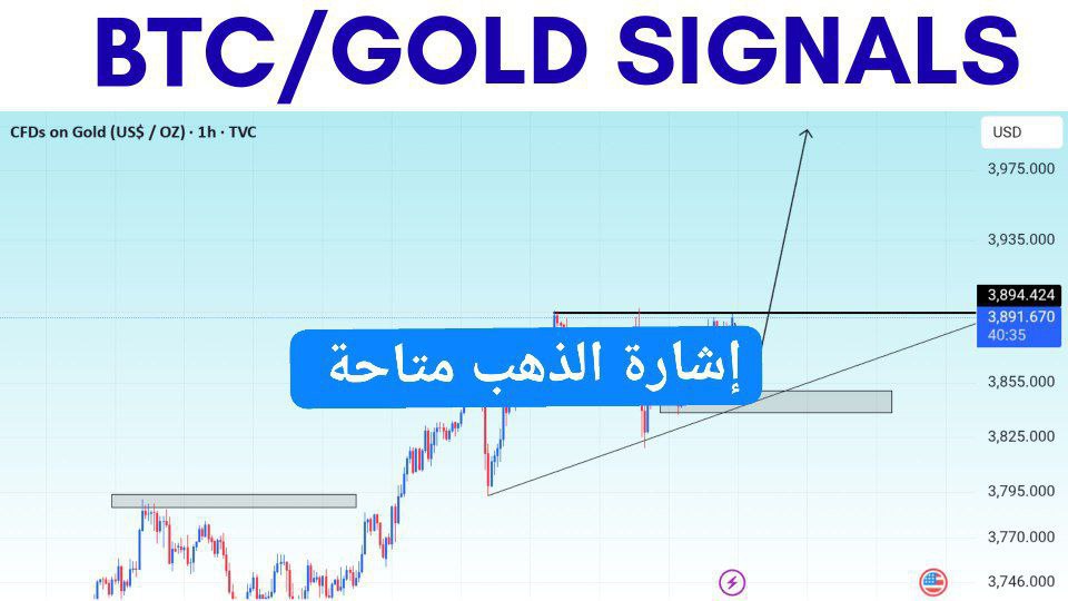 🇸🇬إشارات الذهب في سنغافورة وخدمات إدارة الحسابات 🇸🇬