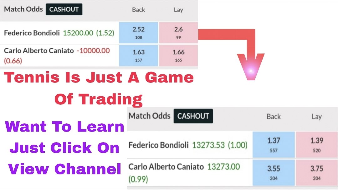 Tennis Expert Betting Tipster