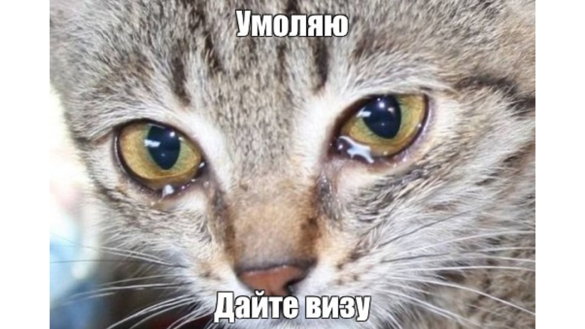 промокаш фм 🎤🗿во Франции